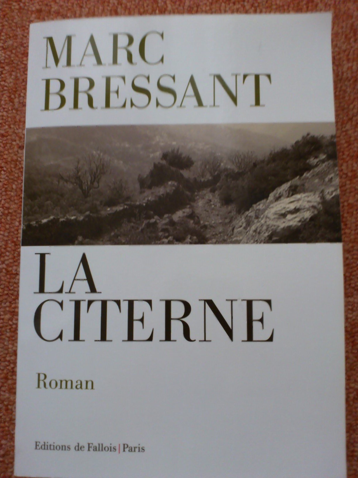 La citerne 9782877066938