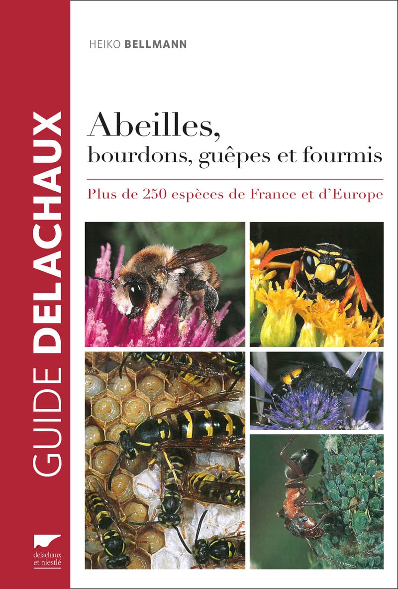 Abeilles, bourdons, guêpes et fourmis: Plus de 250 espèces de France et d'Europe 9782603024607