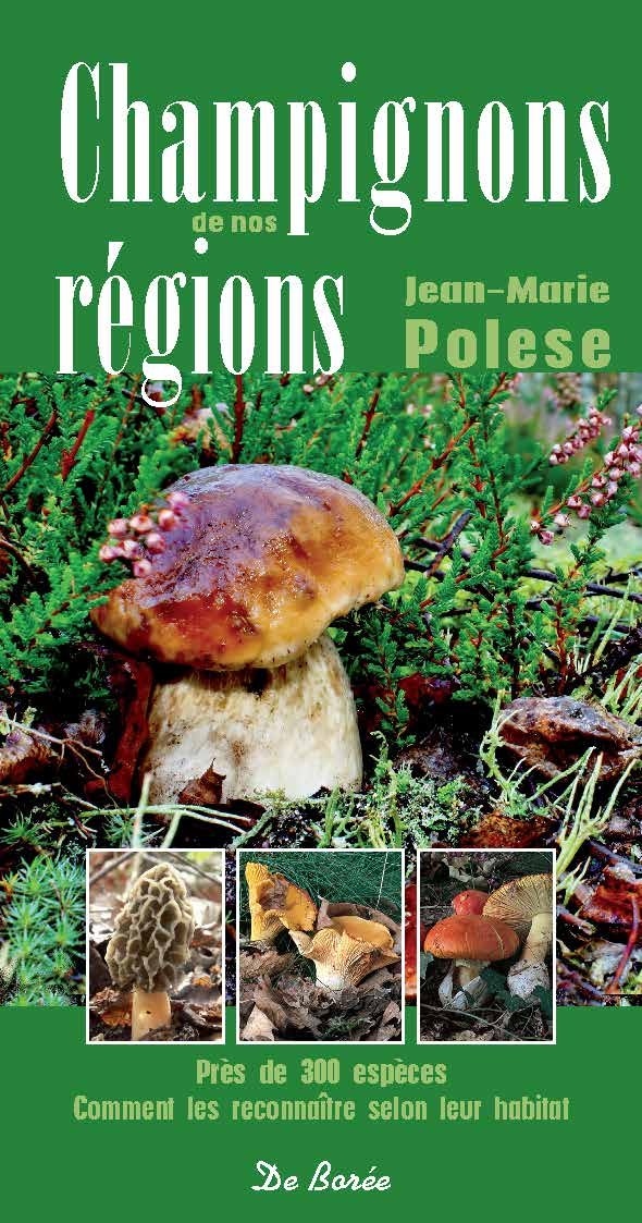 CHAMPIGNONS DE NOS REGIONS 9782812915031