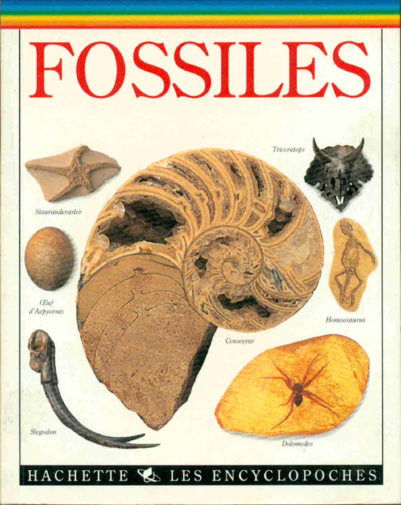 Les encyclopoches : fossiles 9782012916579
