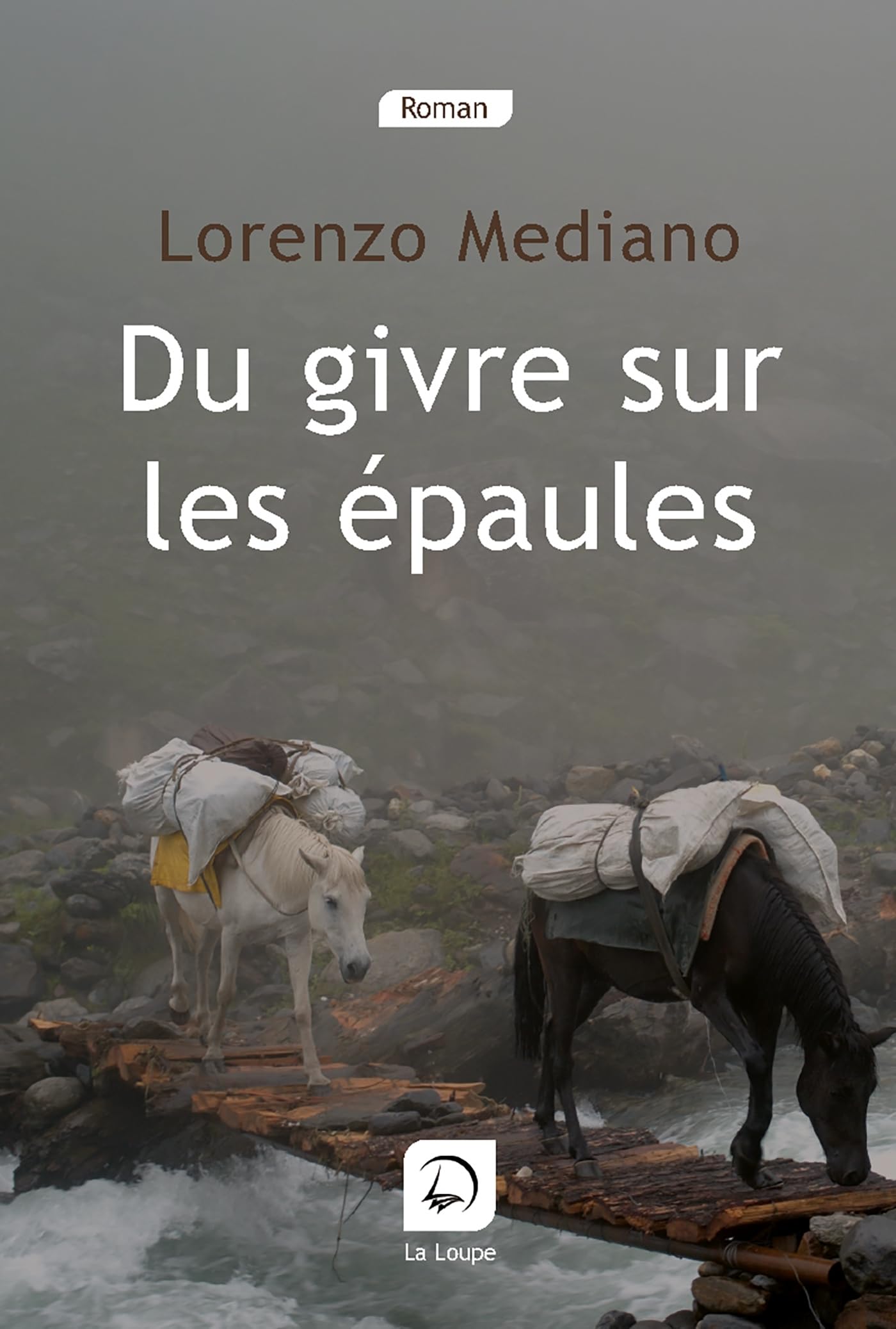 Du givre sur les épaules (grands caractères) 9782848682990