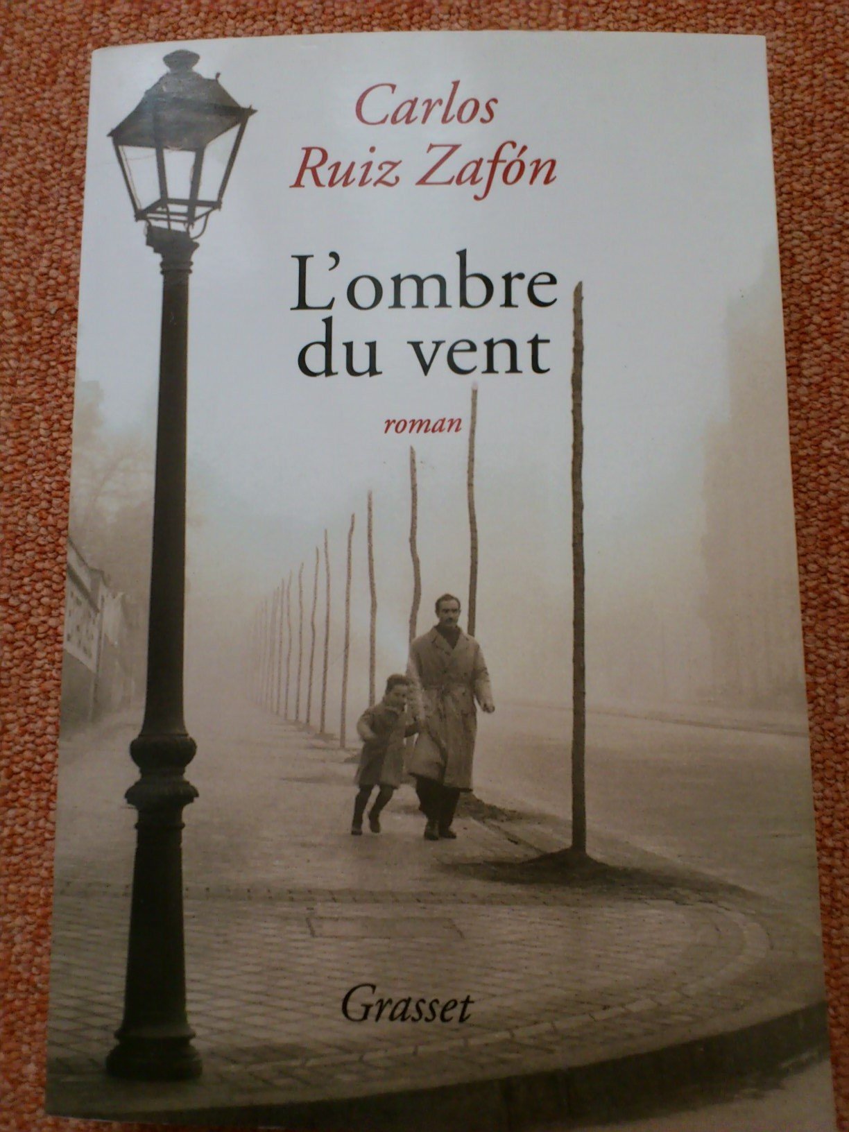 L'Ombre du vent 9782246631613