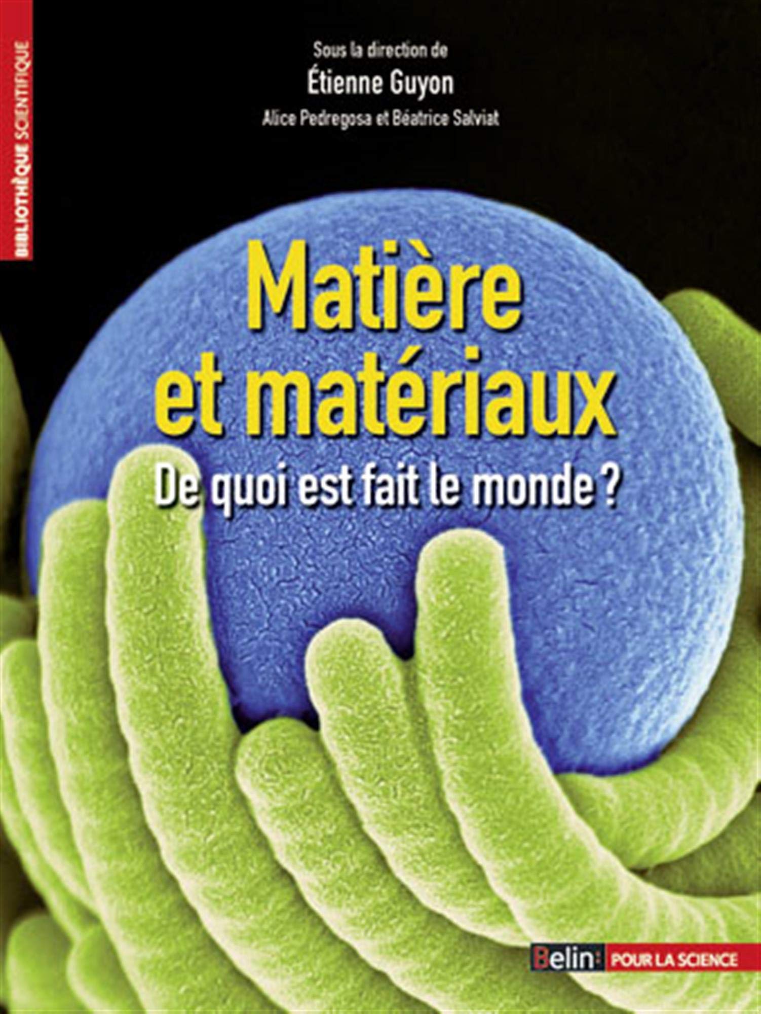 Matière et matériaux: De quoi est fait le monde ? 9782701151823