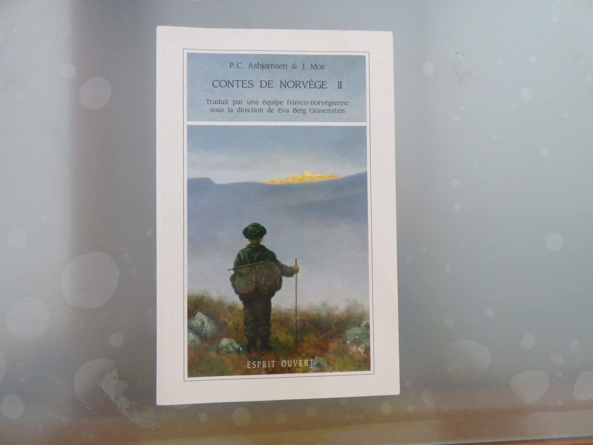 Contes de Norvège 2 9782883290389