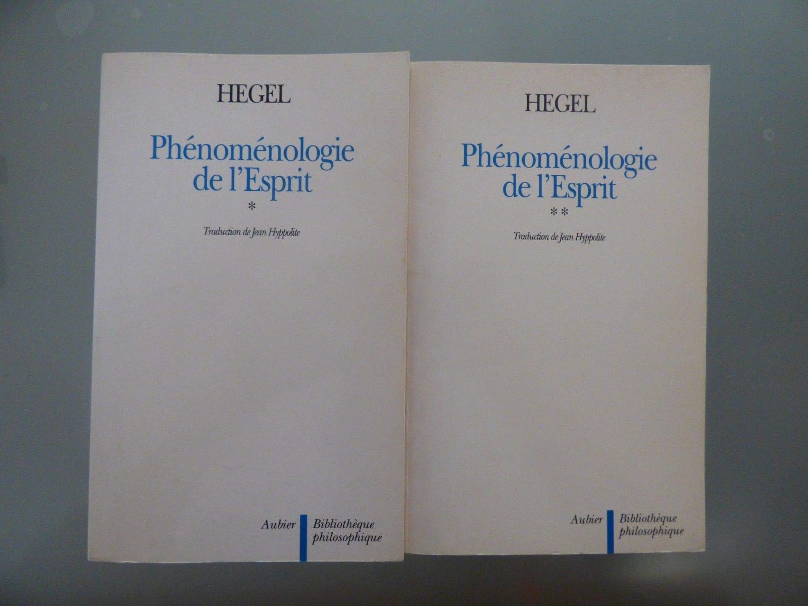 La phénoménologie de l'esprit - 2 volumes 9782700700091