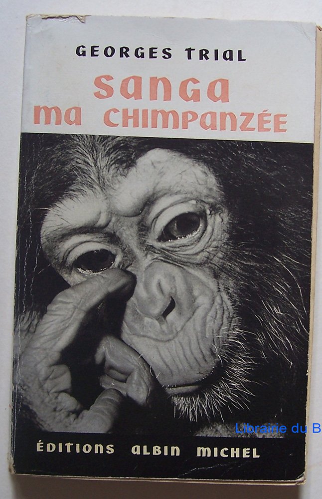 Sanga ma chimpanzée. 