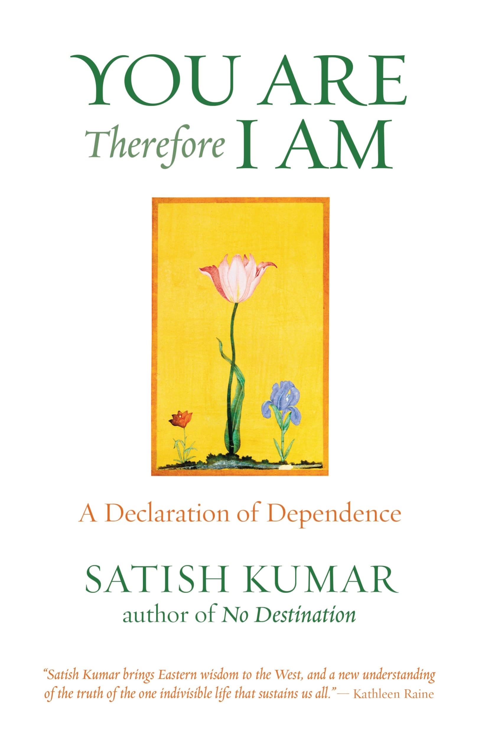 You Are Therefore I Am: A Declaration of Dependence 9781903998182