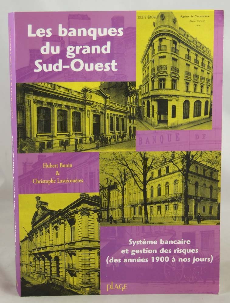LES BANQUES DU GRAND SUD-OUEST- SYSTEME BANCAIRE ET GESTION DES RISQUES (DES ANNEES 1900 A NOS JOURS) 9782914369091