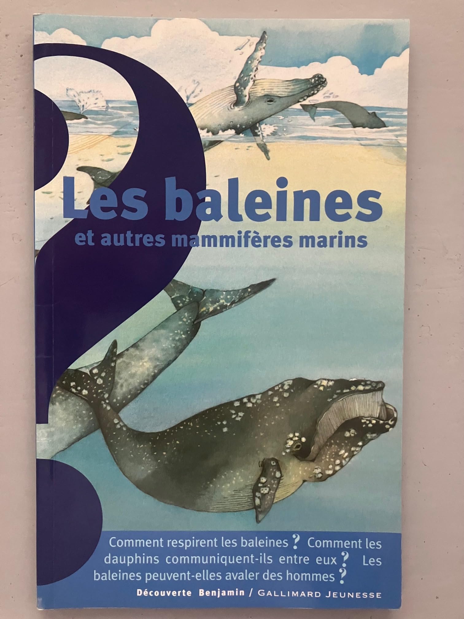 Les baleines et autres mammifères marins 9782070558513