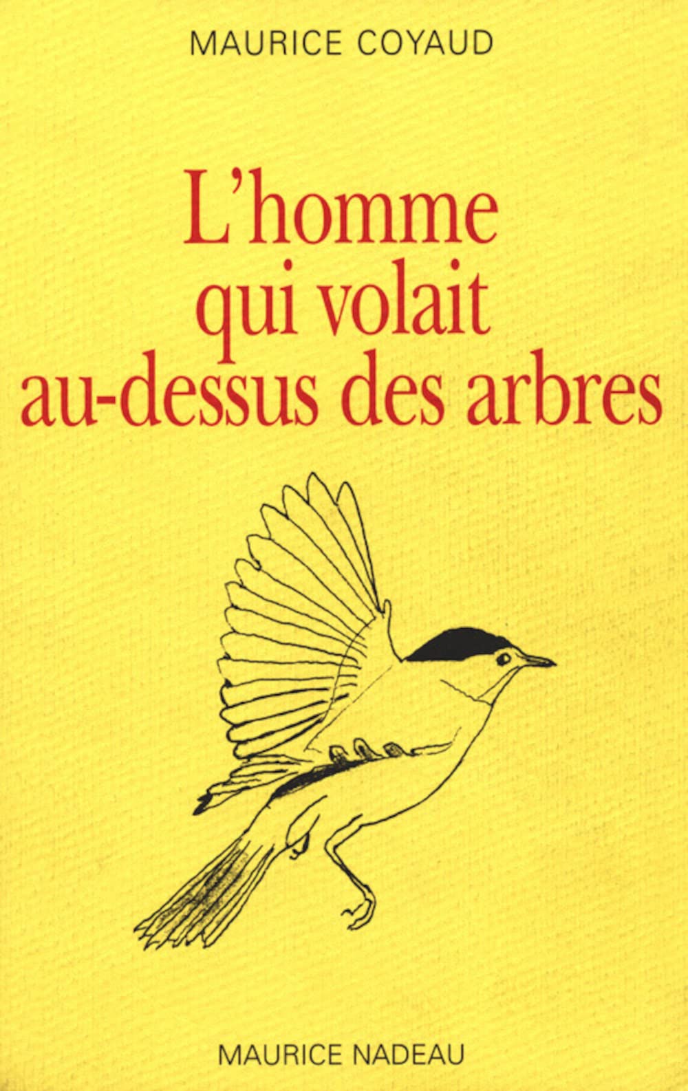L'homme qui volait au-dessus des arbres 9782862311845