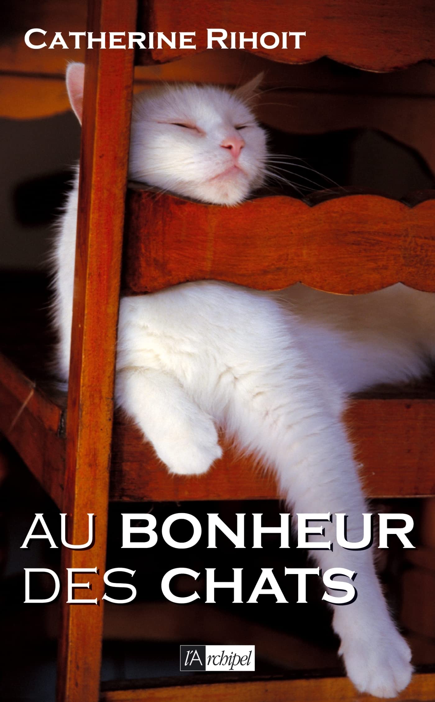 Au bonheur des chats 9782841879656