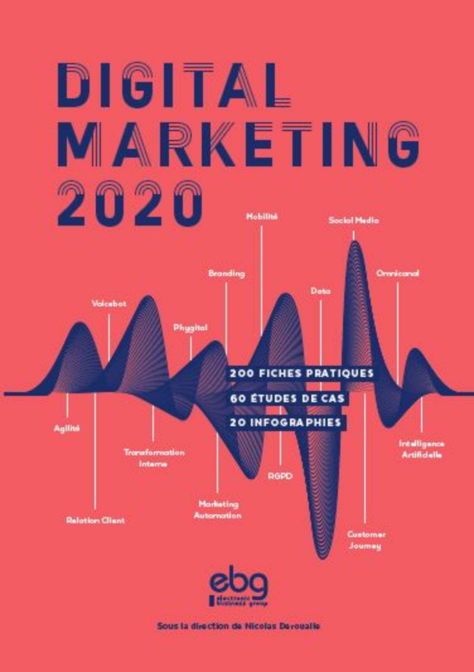 Digital Marketing 2020: 200 fiches pratiques - 60 études de cas - 20 infographies 9782914901246