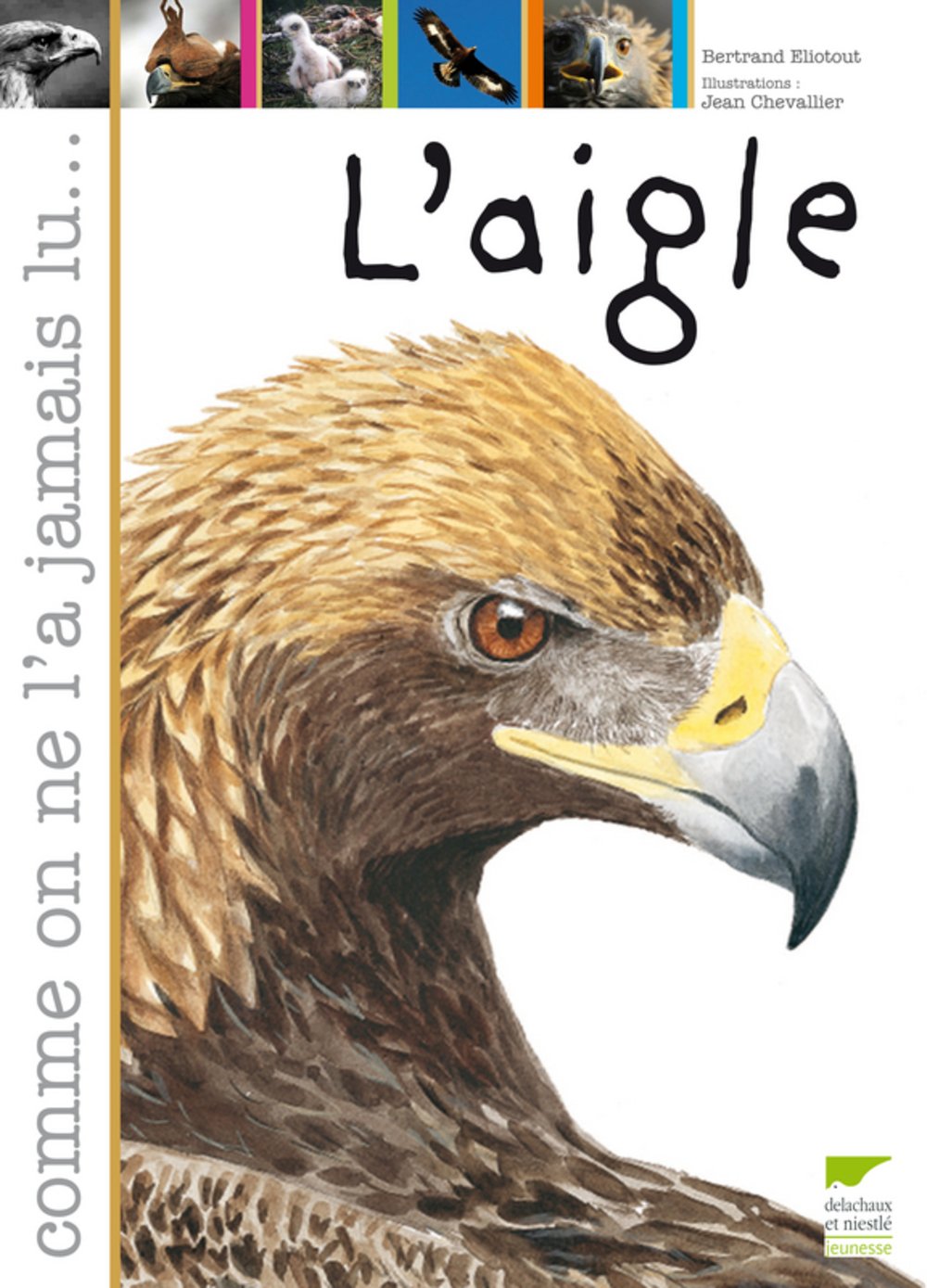 L'aigle 9782603015735