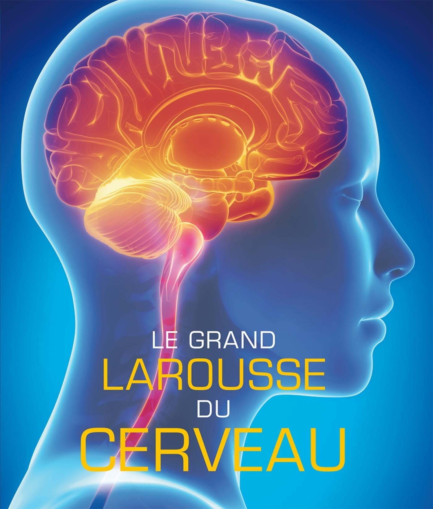 Le grand Larousse du cerveau - Nouvelle édition 9782035913234