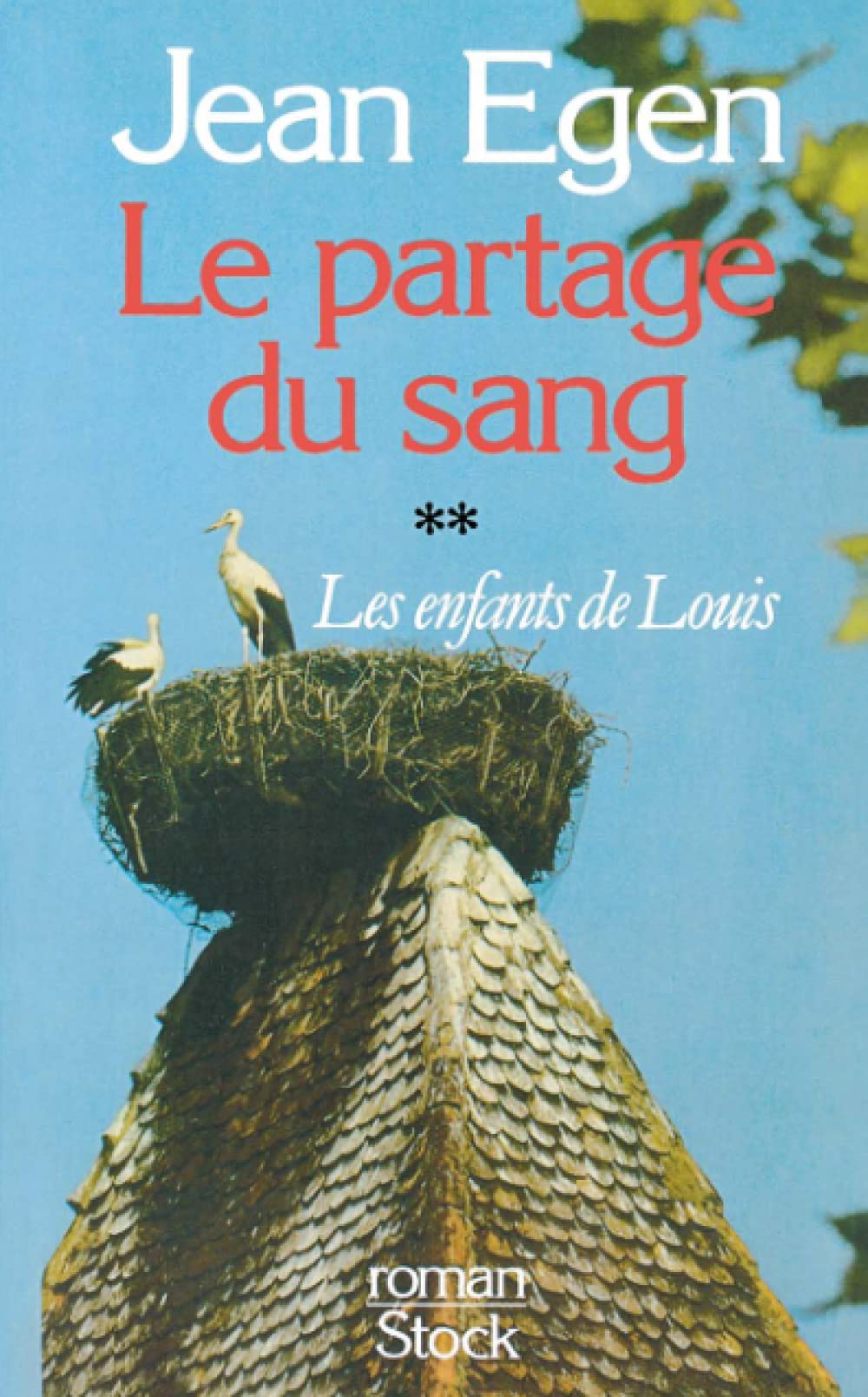 Le Partage du sang Tome 2 : Les enfants de Louis 9782234014947