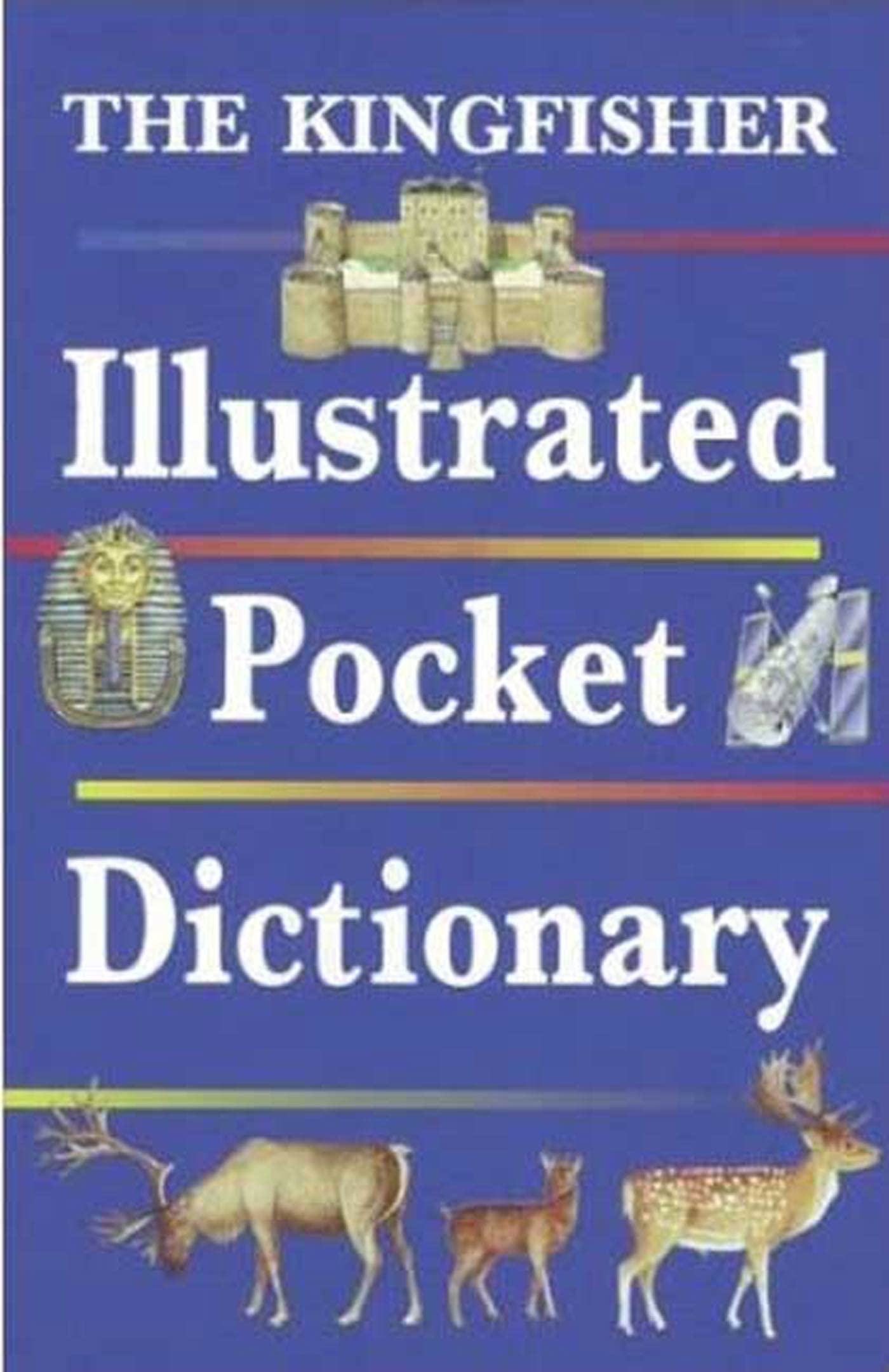 The Kingfisher Illustrated Pocket Dictionary 9781856976725