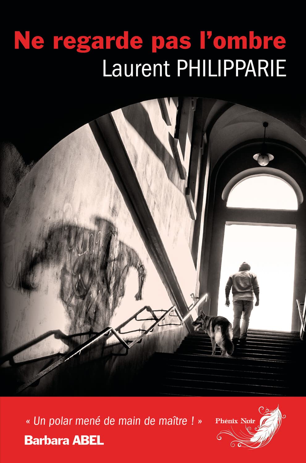 Ne regarde pas l'ombre 9782390460527