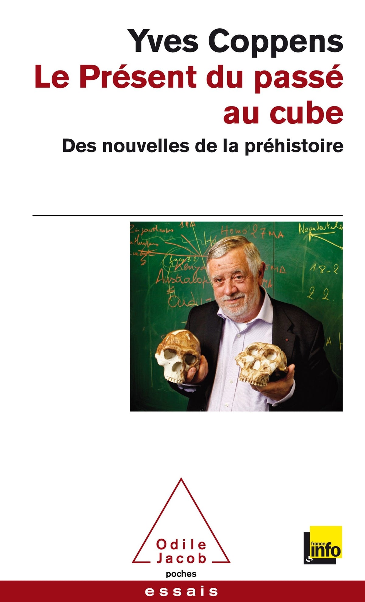Le Présent du passé au cube: Des nouvelles de la préhistoire 9782738133786
