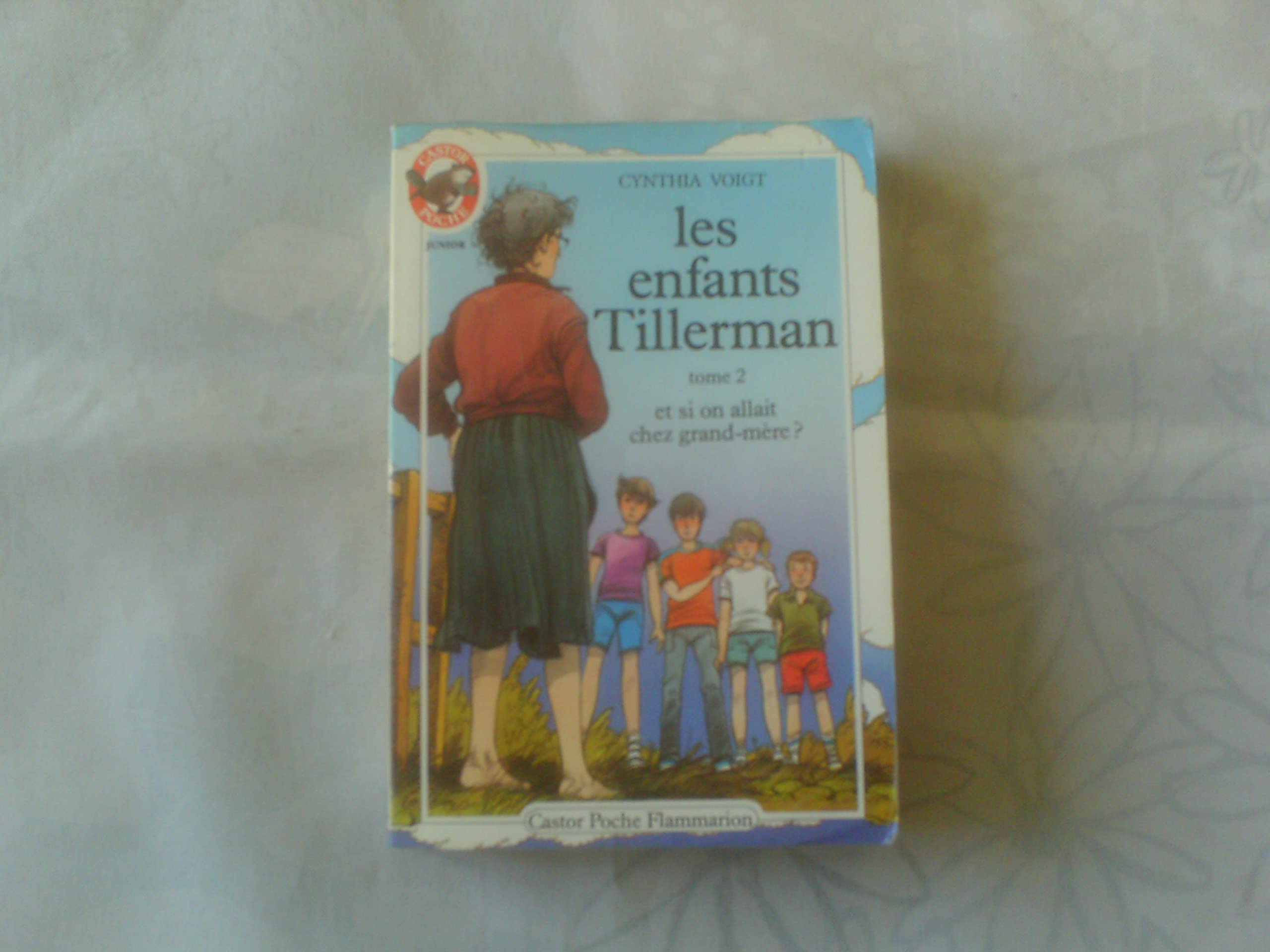 Les Enfants Tillerman, tome 2 : Et si on allait chez grand-mère ? 9782081618718