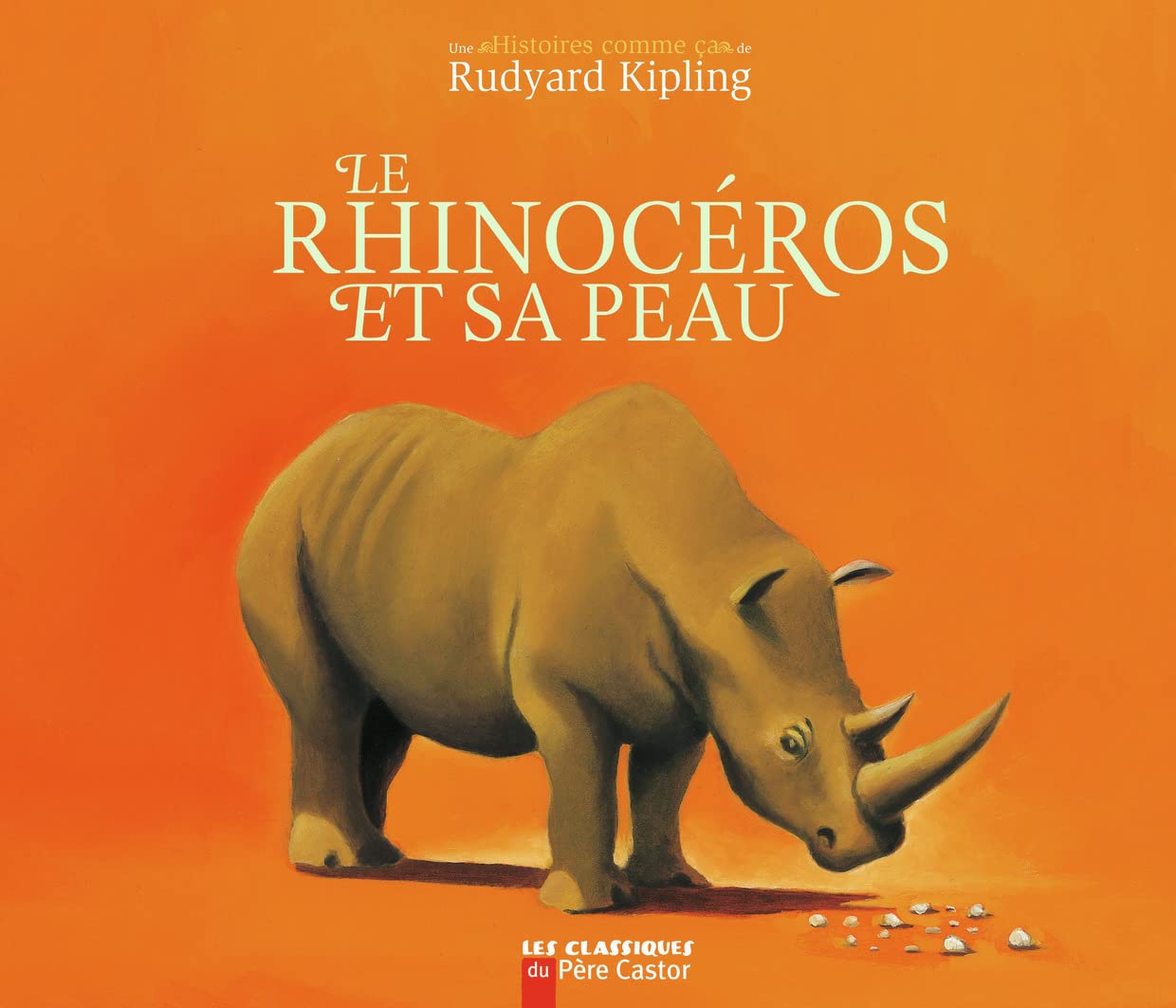 Le rhinocéros et sa peau 9782081211889