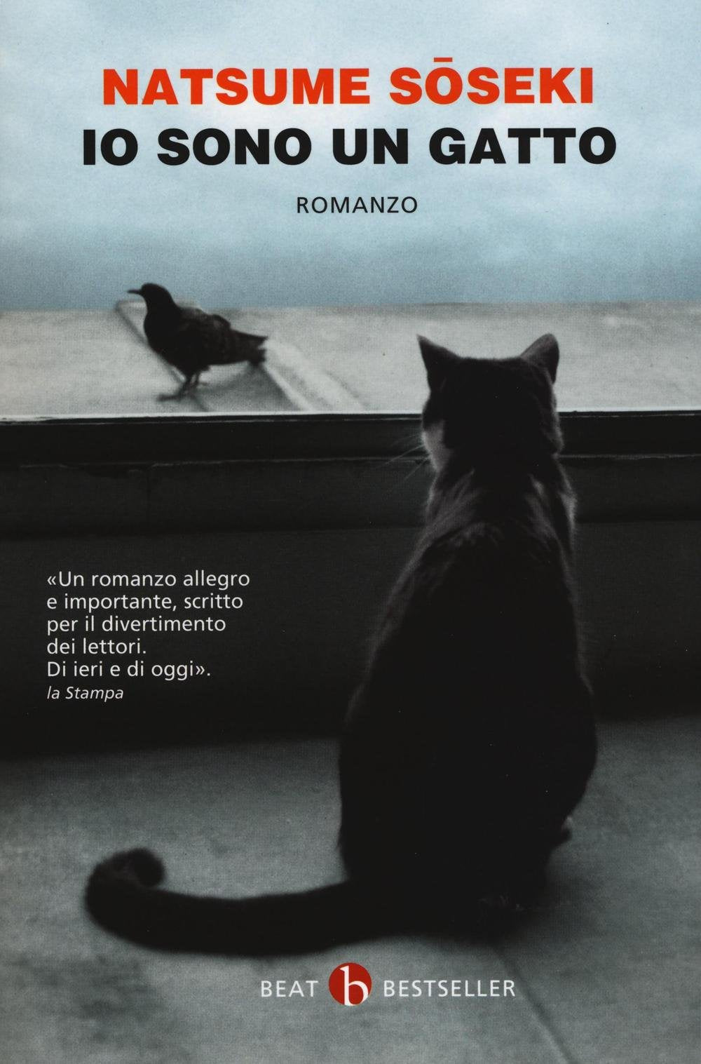 Io sono un gatto 9788865593974