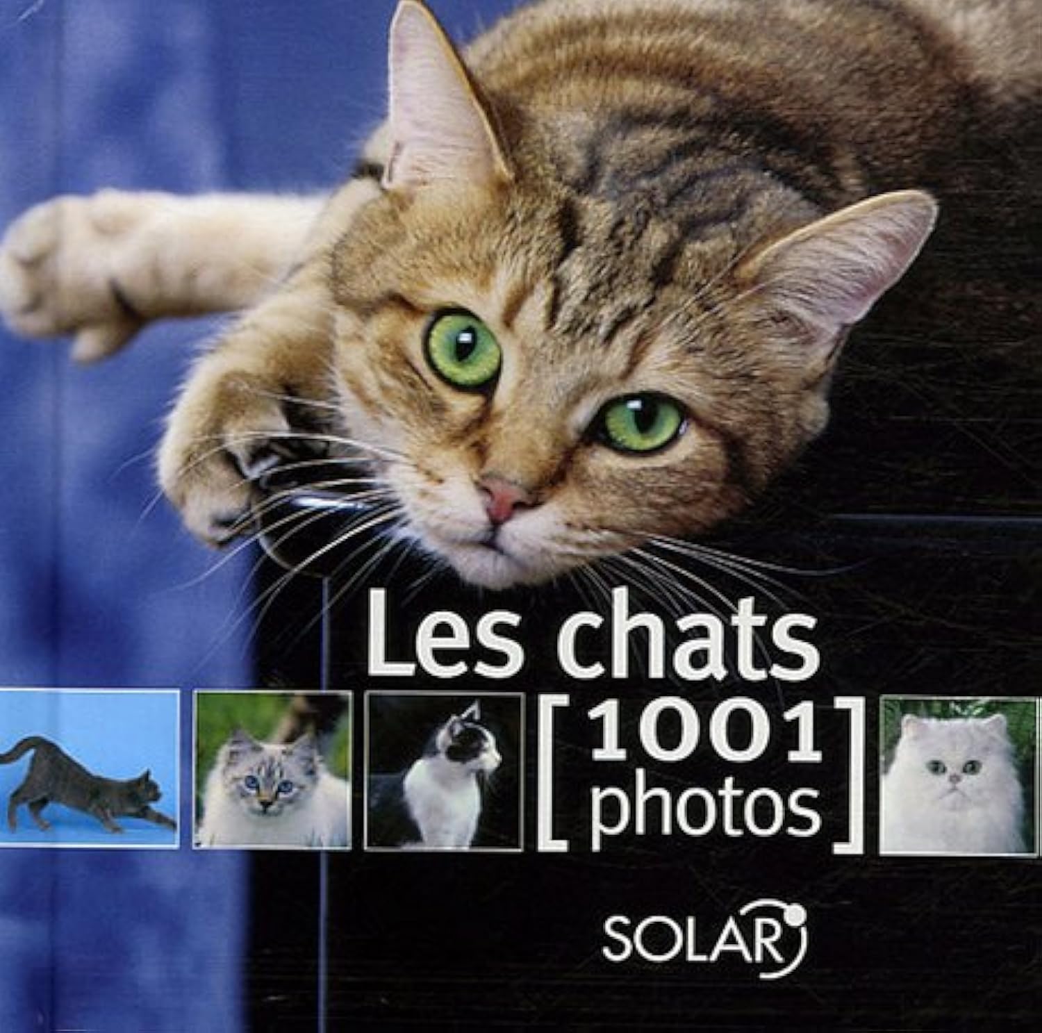 CHATS EN 1001 PHOTOS 9782263042133