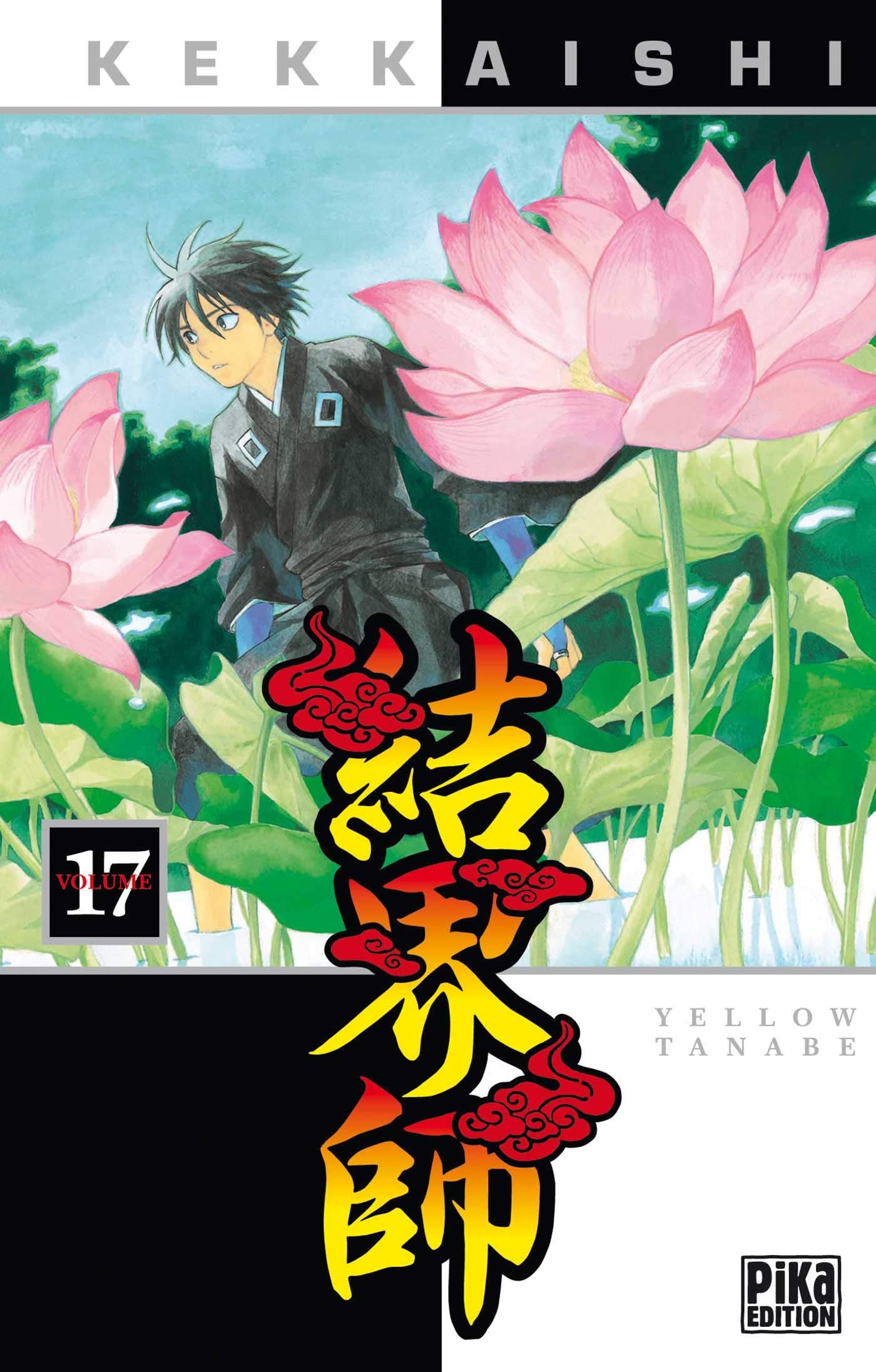 Kekkaishi, Tome 17 : 9782845999619