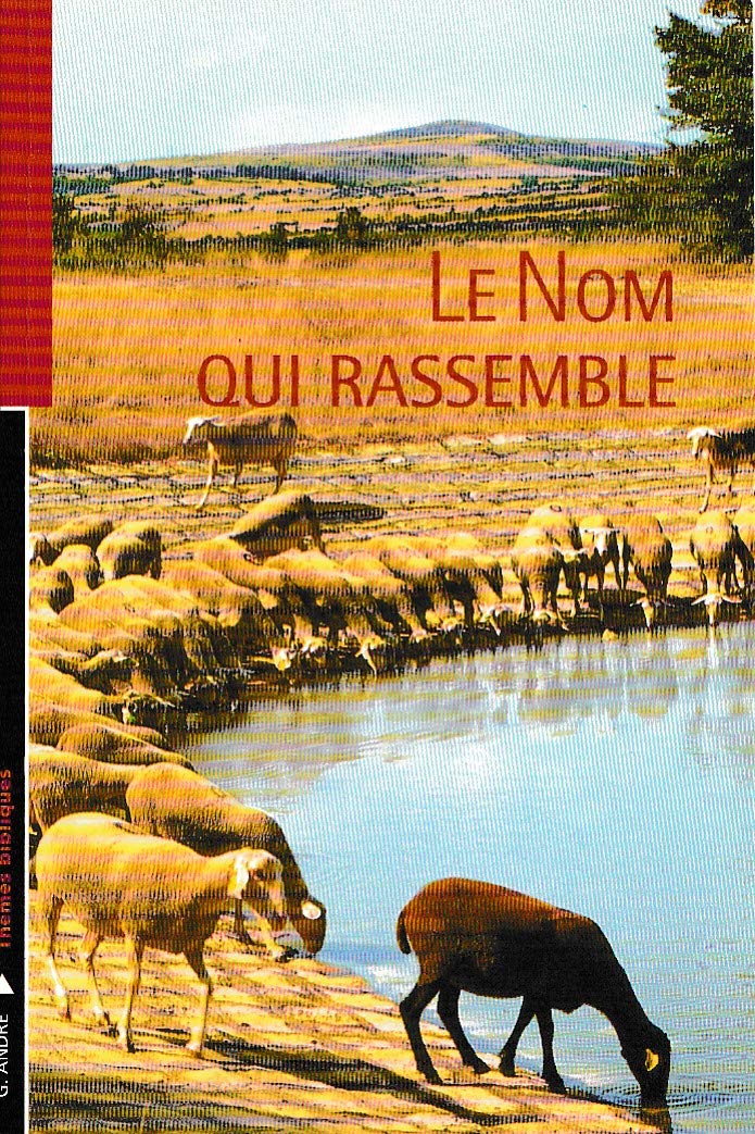 Le Nom qui rassemble (Pour les jeunes croyants) 9782879071046