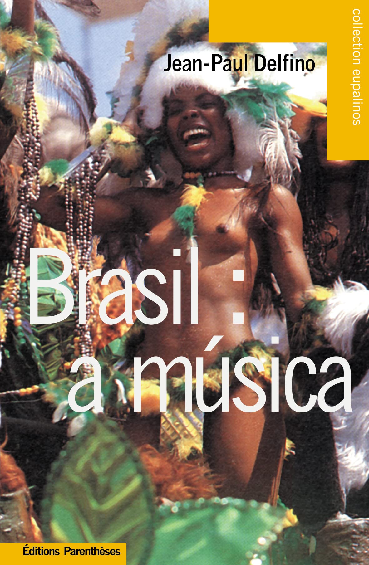 Brasil : a musica: Panorama des musiques populaires brésiliennes 9782863646144