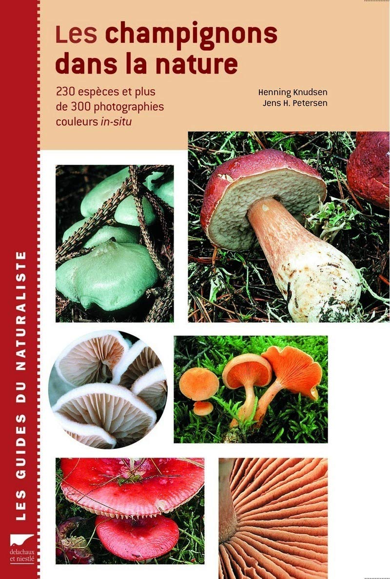 Les Champignons dans la nature 9782603013434