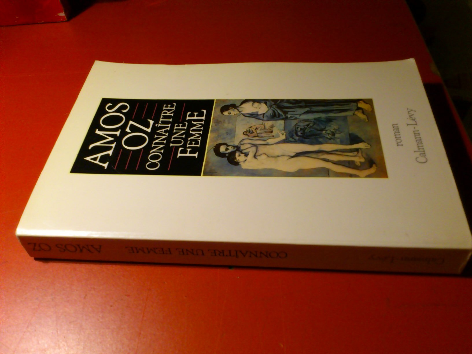 Connaître une femme 9782702119419