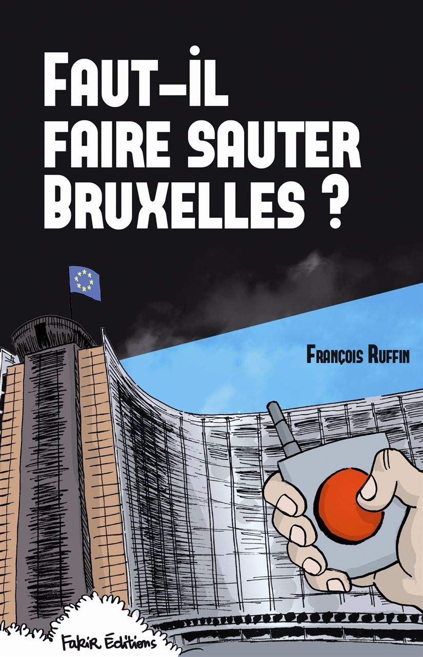 Faut-il faire sauter Bruxelles ?: Un touriste enquête 9782369210047