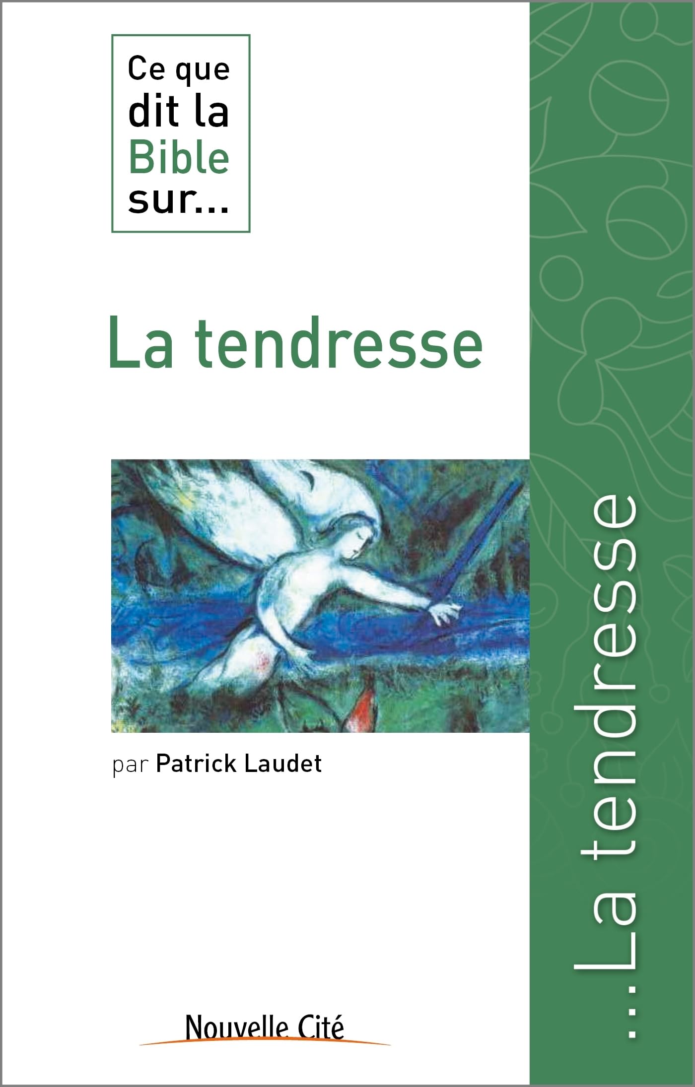 Ce que dit la Bible sur la tendresse 9782853137485