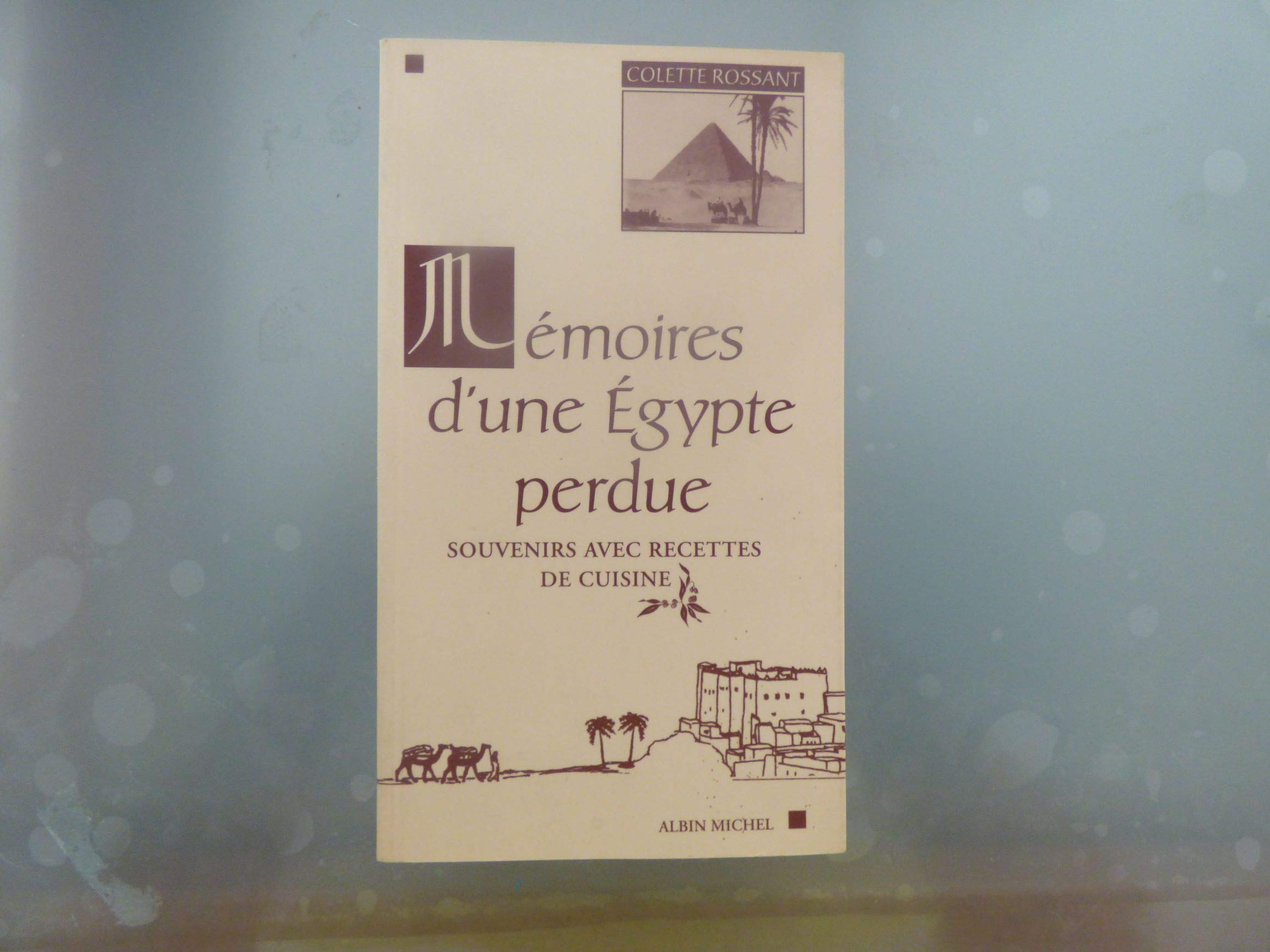 Mémoires d' une Egypte perdue : souvenirs avec recettes de cuisine 9782226110800