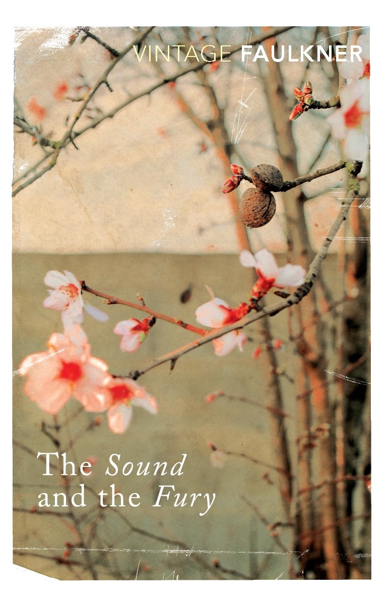 The Sound and the Fury 9780099475019