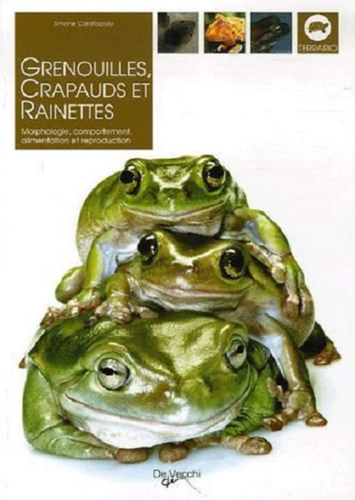 Grenouilles, crapauds et rainettes 9782732885889