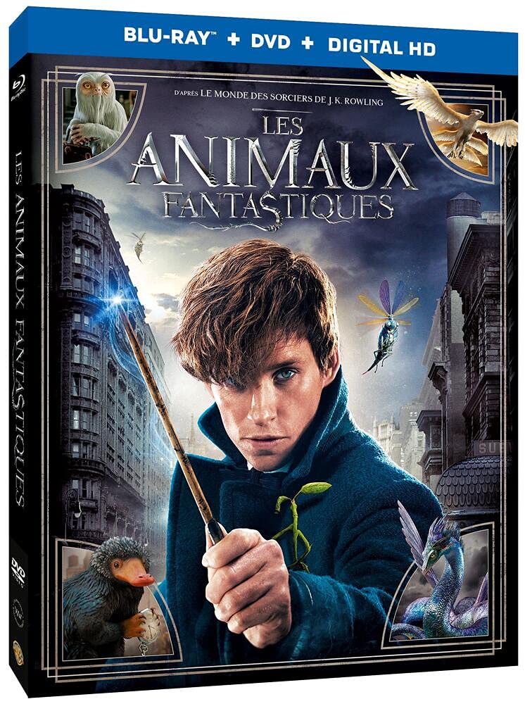 Les Animaux fantastiques - Combo - Le monde des Sorciers de J.K. Rowling - Blu-ray [Combo Blu-ray + DVD] 5051889599593