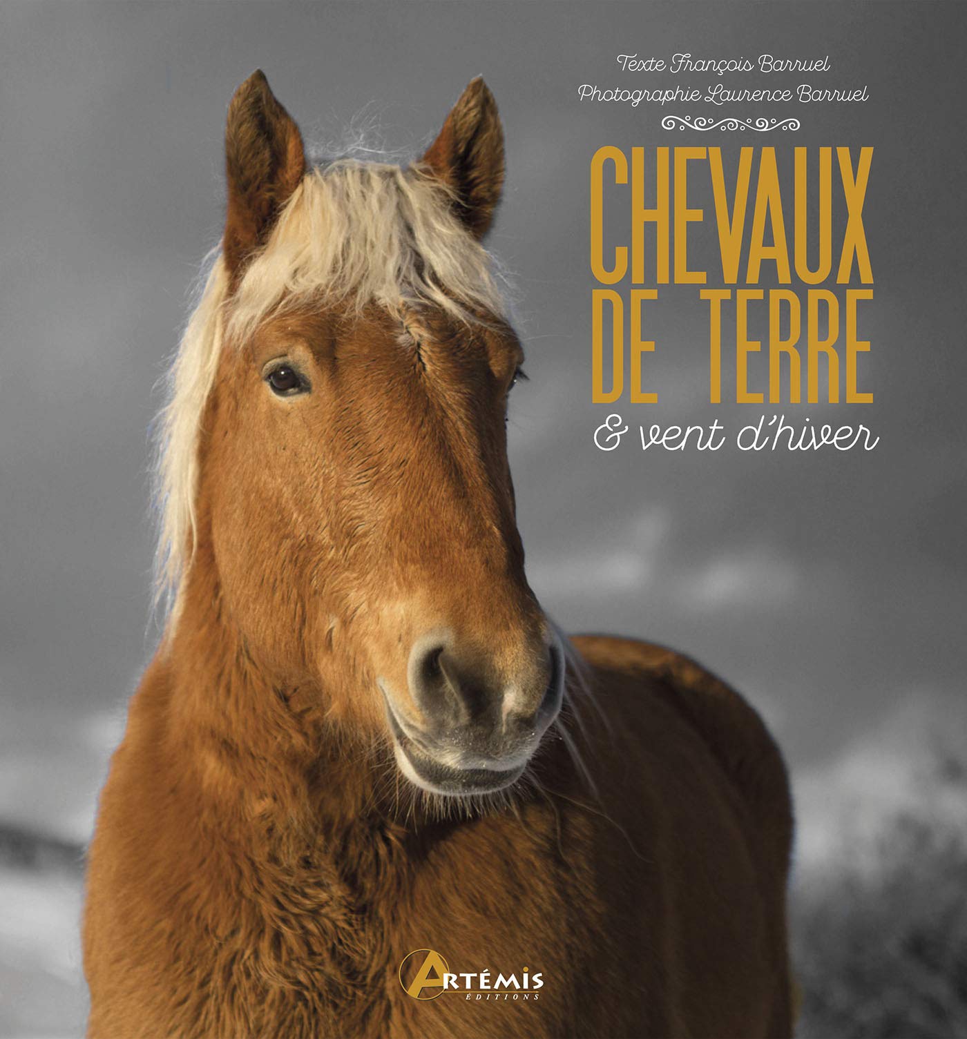 Chevaux de terre et vent d'hiver 9782816015645