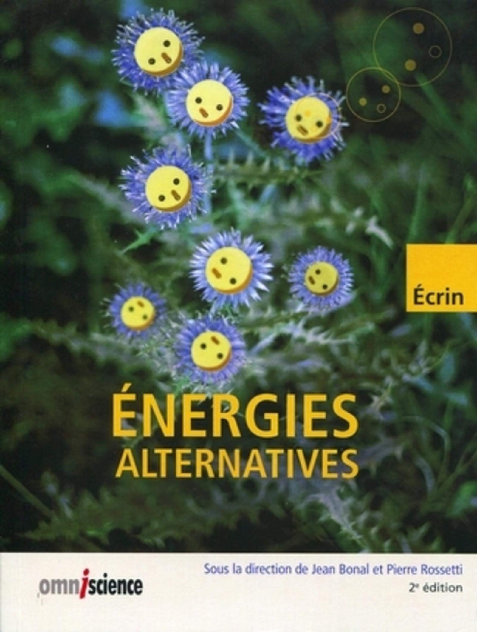 Énergies alternatives 9782916097312