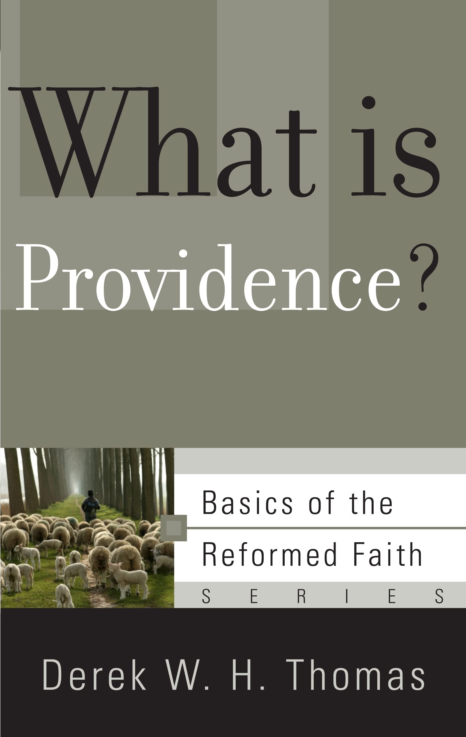 What Is Providence? 9781596380929