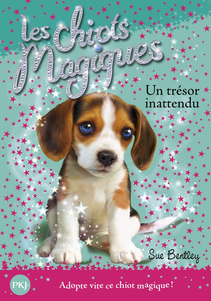 Les chiots magiques - tome 14 : Un trésor innatendu (14) 9782266252898