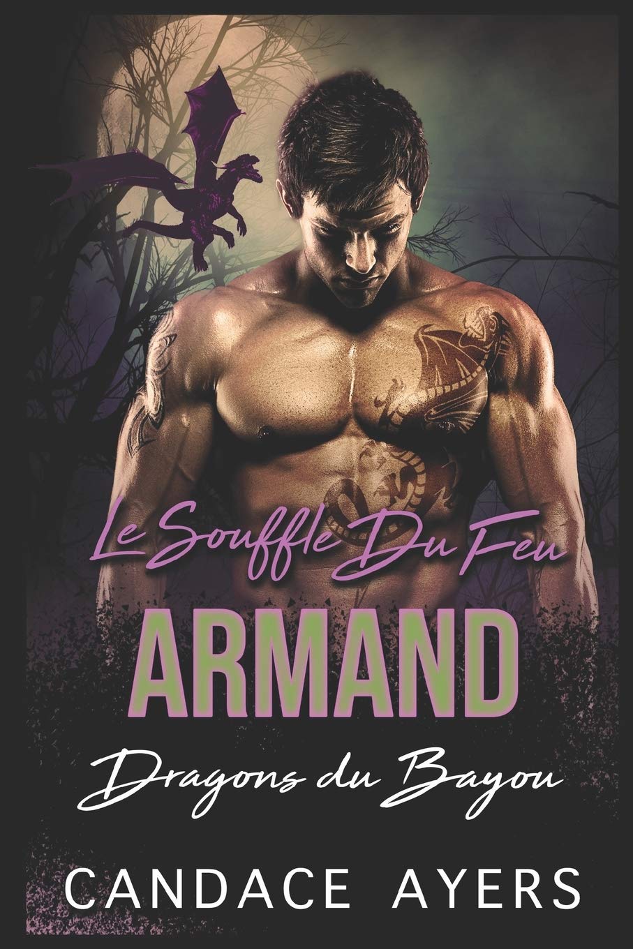 Le Souffle du Feu: Armand: Une Romance Paranormale 9781660716012