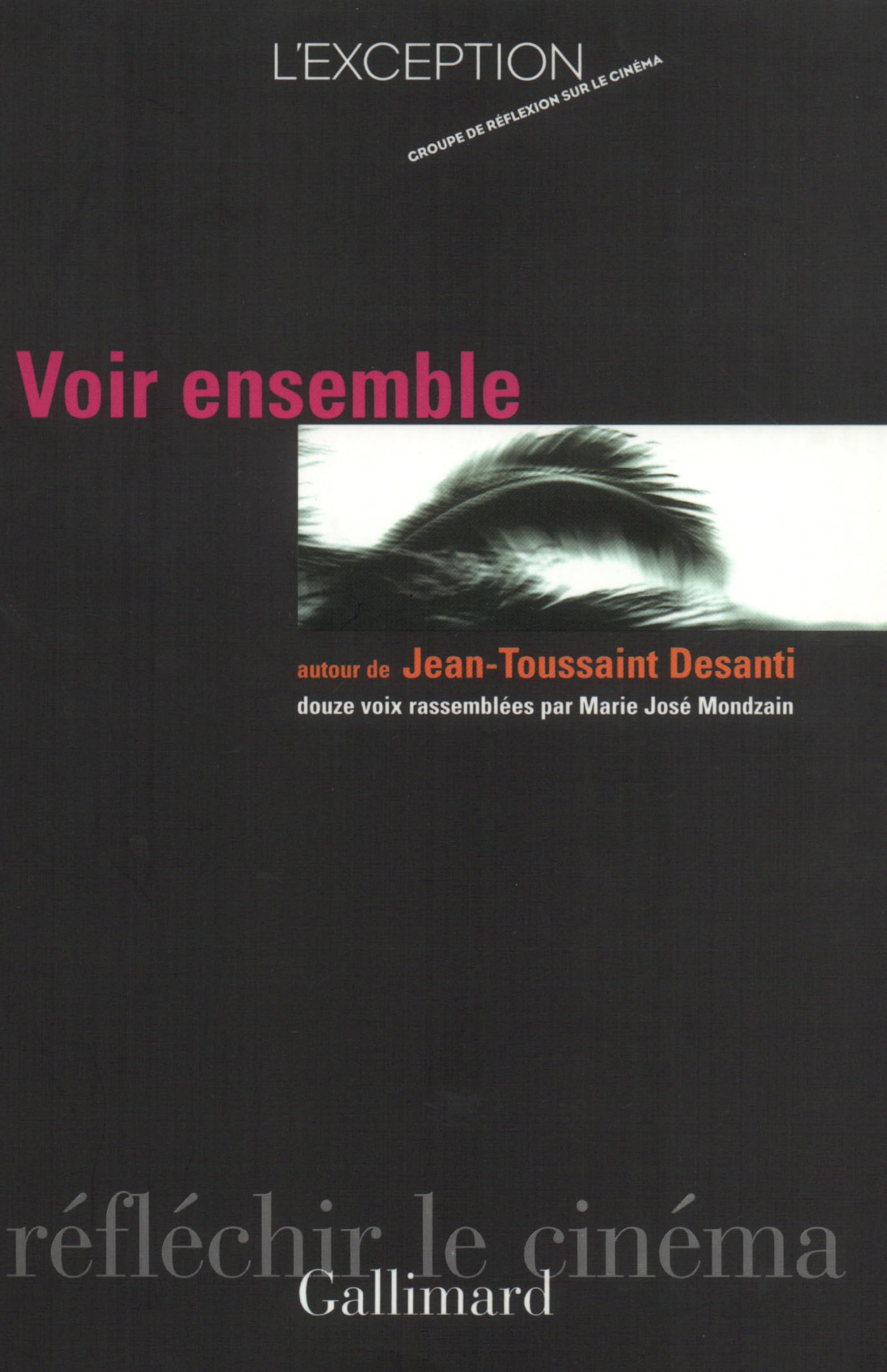 Voir ensemble autour de Jean-Toussaint Desanti 9782070734450