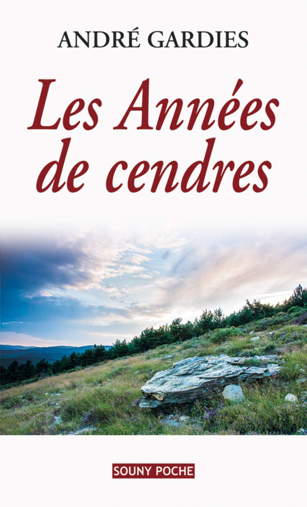 Les Années de cendre 9782848864389