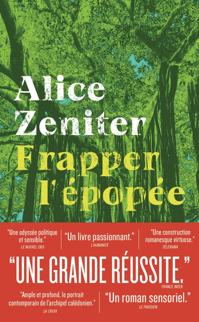 Frapper l'épopée 9782290415009