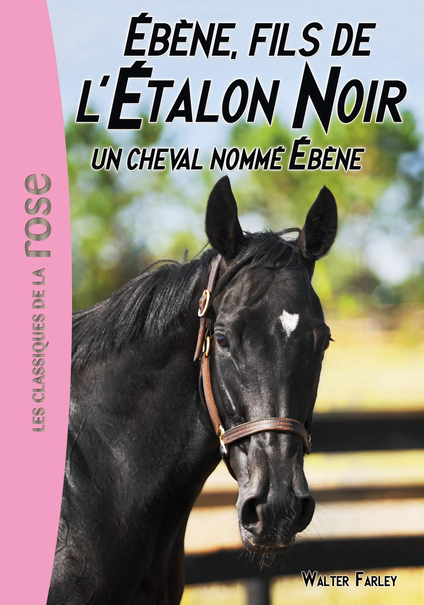 L'Étalon Noir 22 - Un cheval nommé Ébène 9782017039877