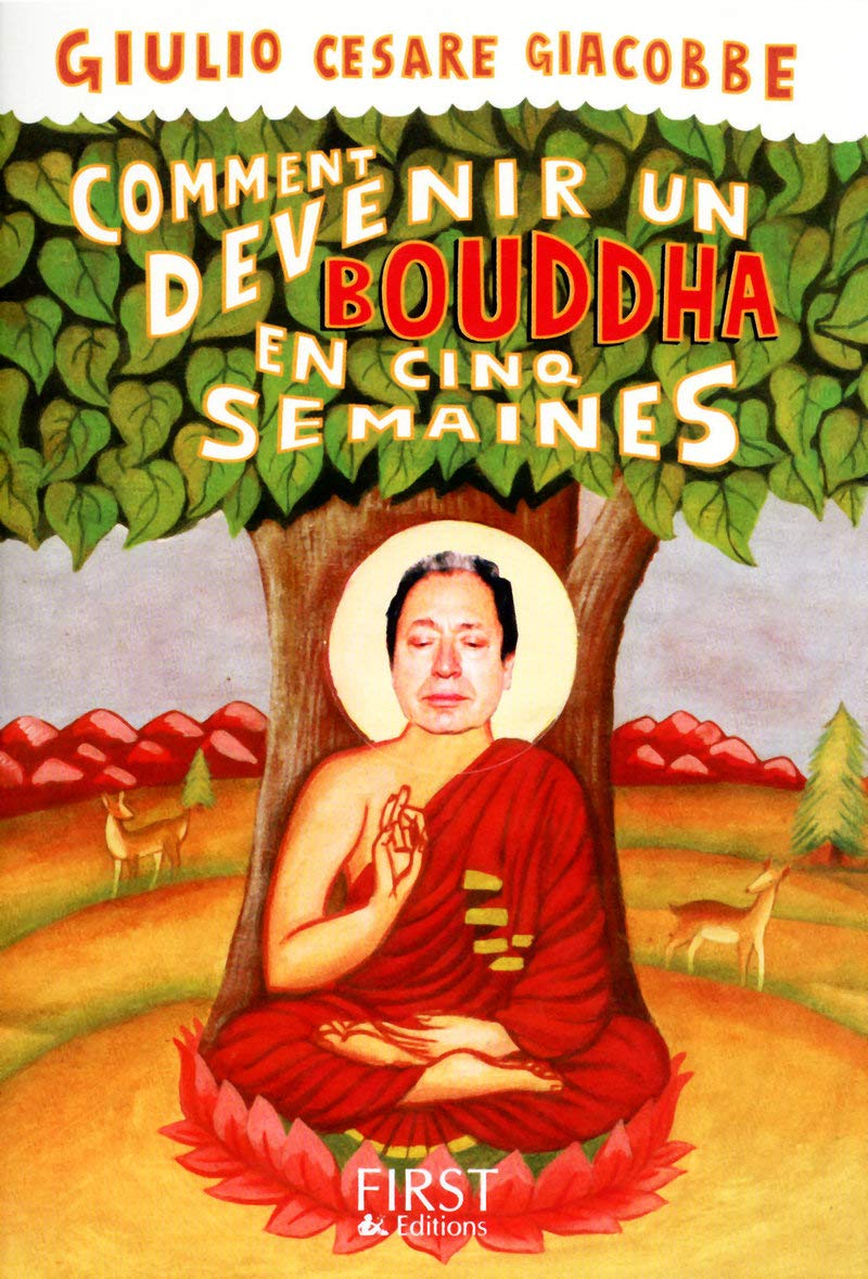 Comment devenir un bouddha en cinq semaines 9782754015646
