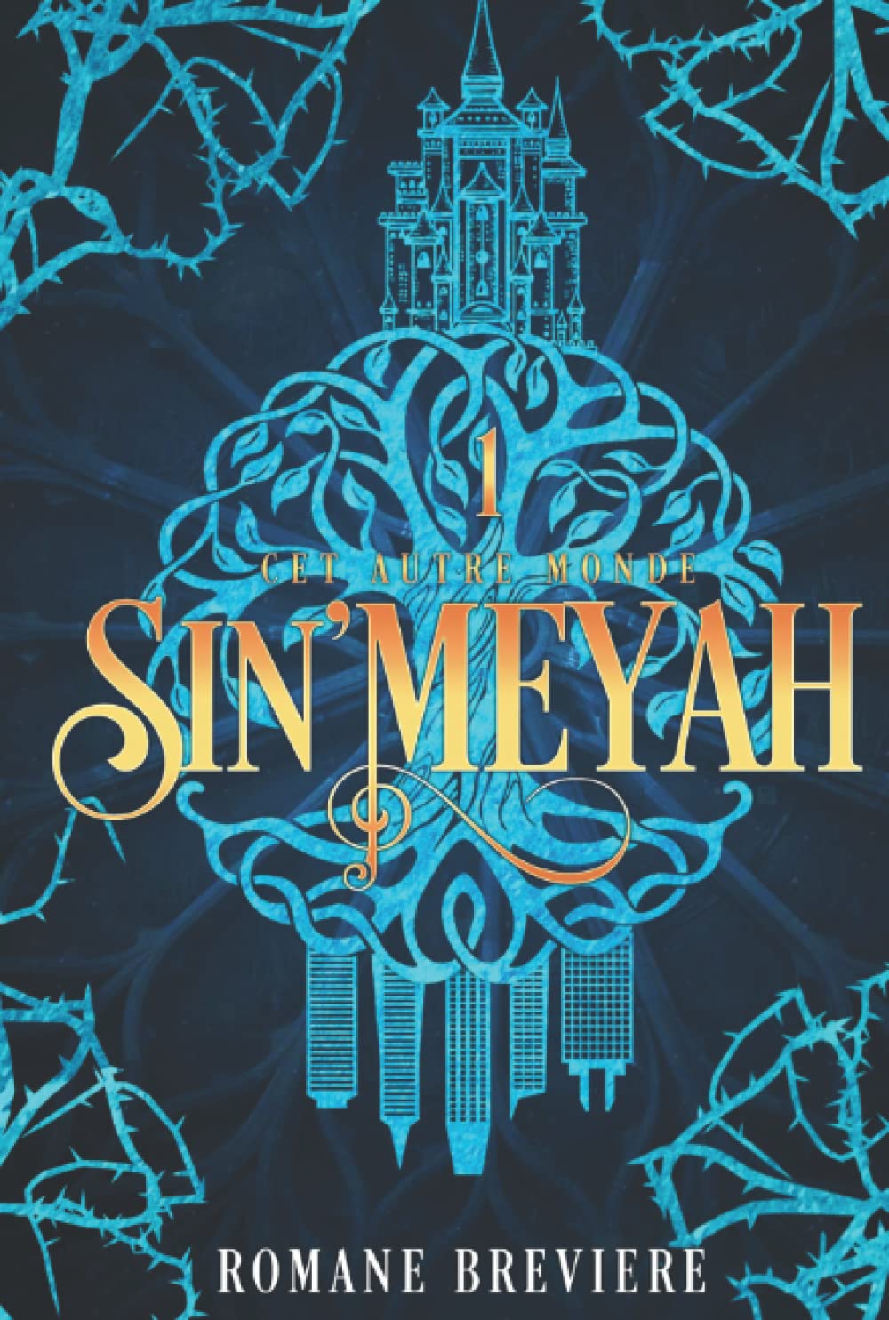 Sin'Meyah: Tome 1 : Cet autre monde 9782958394202