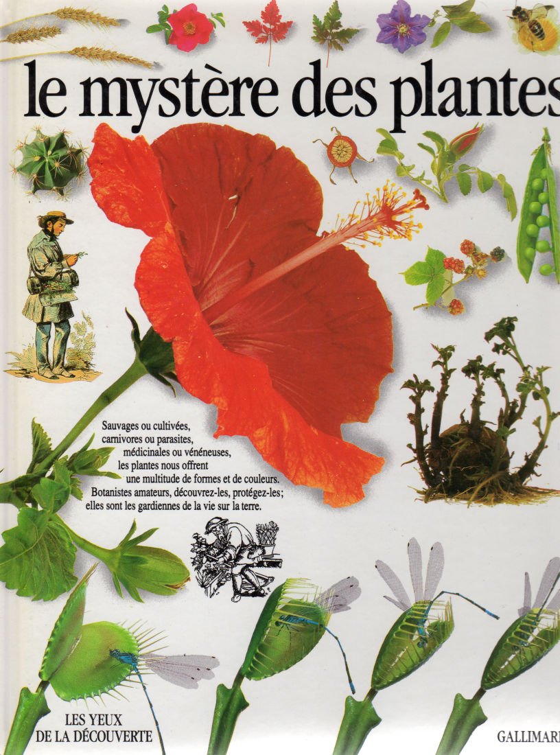 Le mystère des plantes 9782070564705