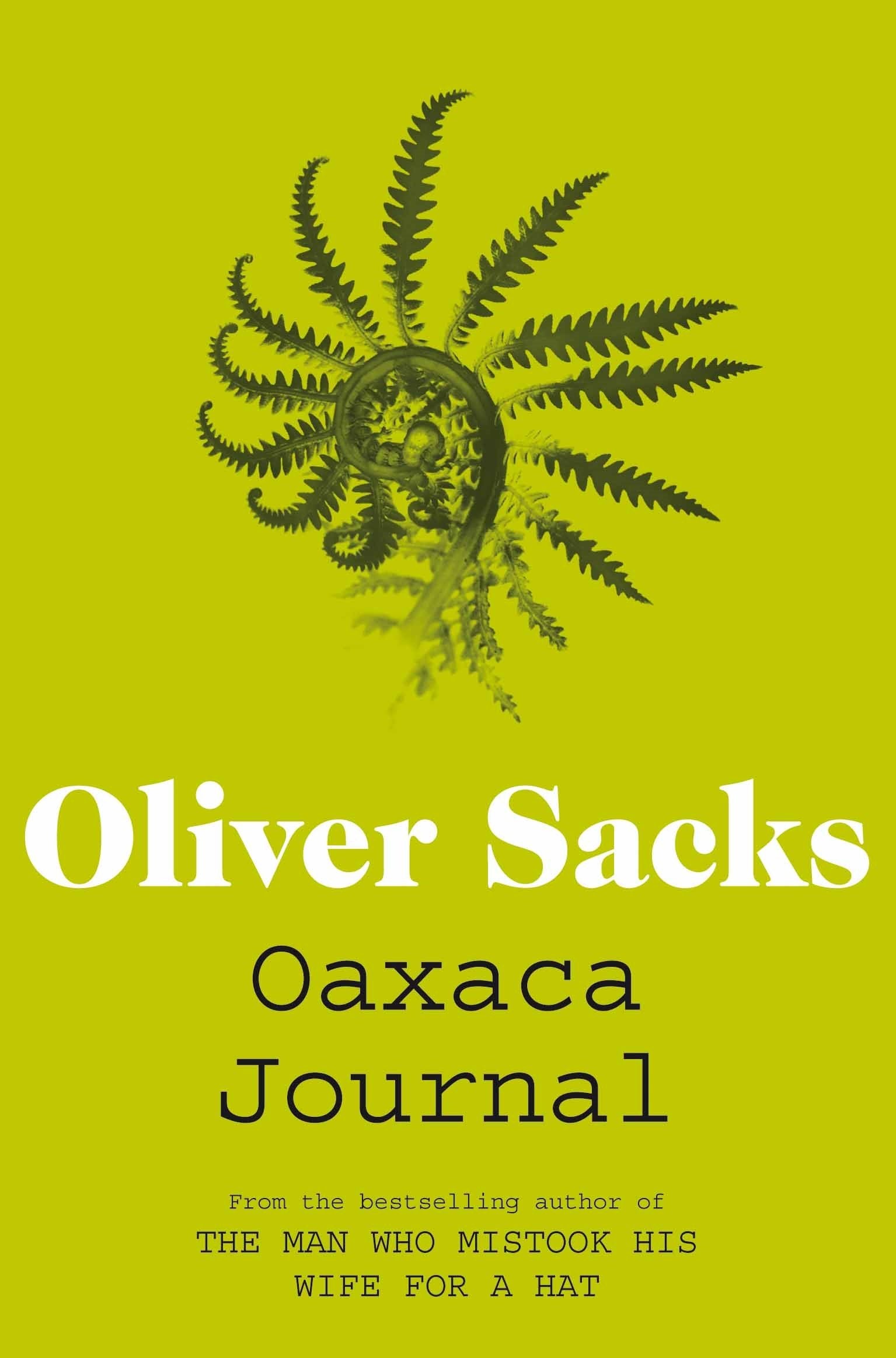 Oaxaca Journal 9781447208341